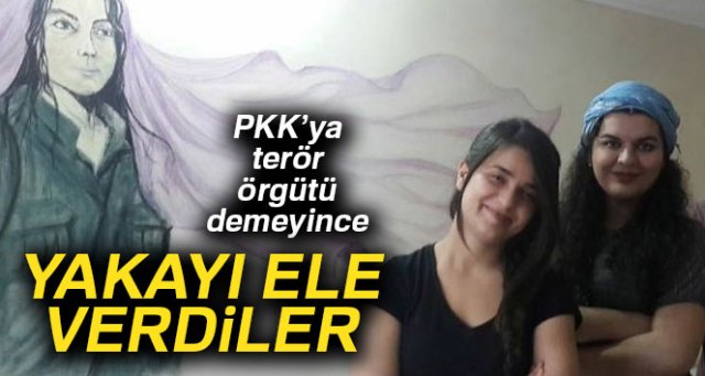 PKK'ya 'terör örgütü' diyemediler!