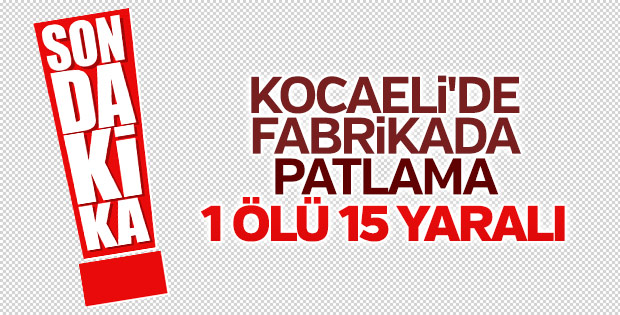 Dilovası OSB'de fabrikada patlama! Yaralananların isimleri