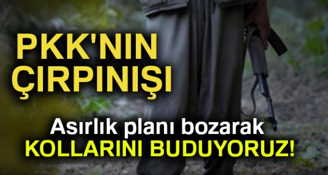 PKK'nın çırpınışı