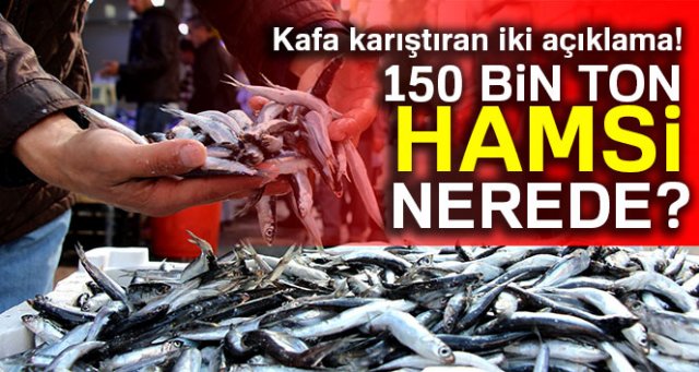 Kafa karıştıran iki açıklama! 150 bin ton hamsi nerede?