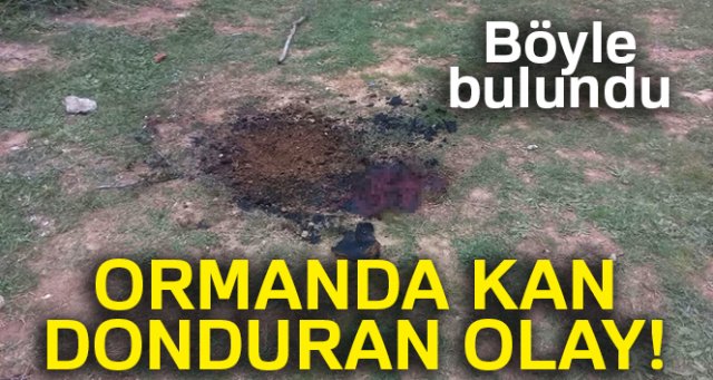 Önce öldürüp sonra yakmışlar