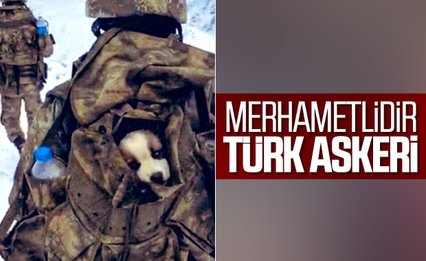 Mehmetçik'ten yavru köpek duyarlılığı