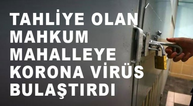 Van'ın Yalım Erez Mahallesi'nde korona virüs karantinası!