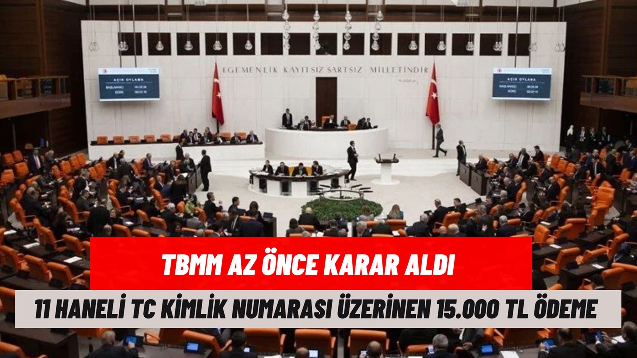 TBMM az önce kadar aldı! E-devlet'ten başvuru yapana 15.000 TL devlet desteği