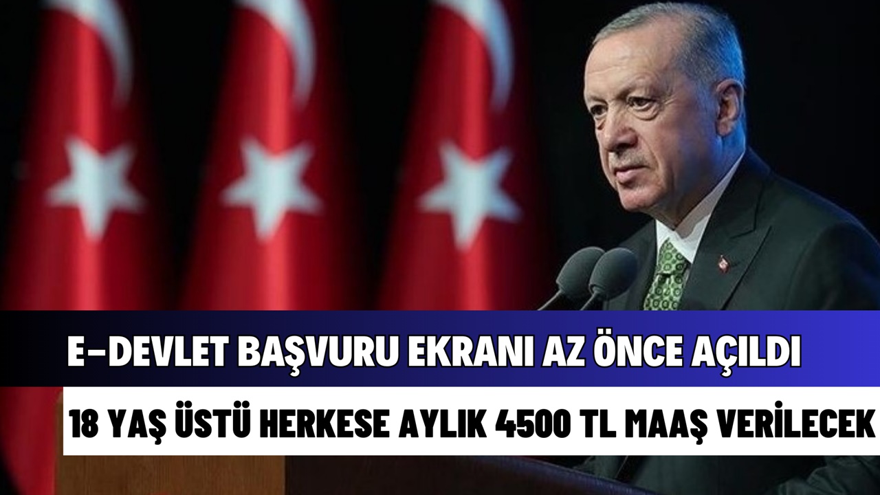 e-Devlet başvuru ekranı açıldı! 11 haneli TC numarasına aylık 4500 TL maaş bağlanacak