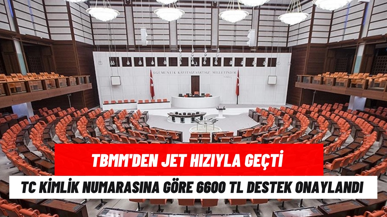 TBMM’den jet hızıyla geçti! TC kimlik numarasına göre 6600 TL ödeme yapılacak