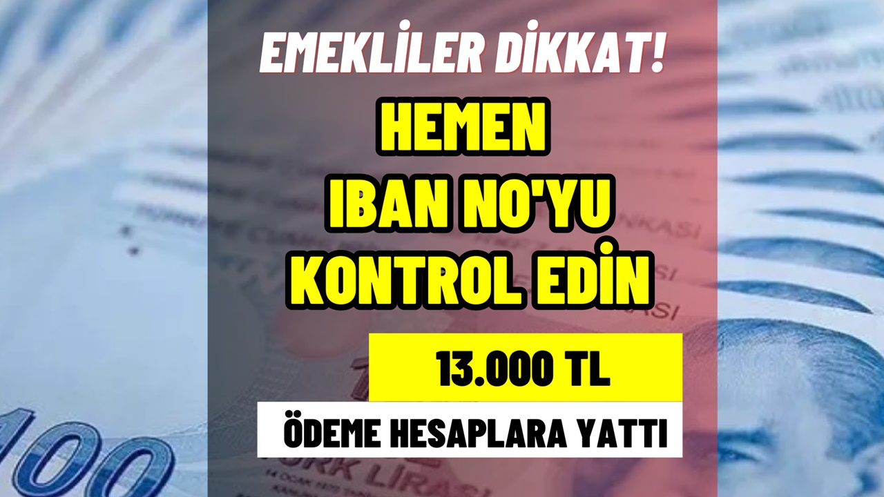 Hemen kontrol edin! Emeklinin IBAN'ına 13.000 TL geri ödemesiz para yattı