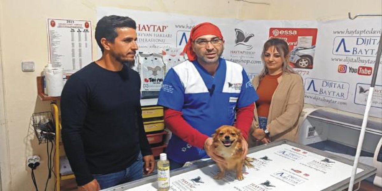 Otomobilin Çarptığı Köpeğin Tedavi Masrafları Bağışlarla Karşılandı