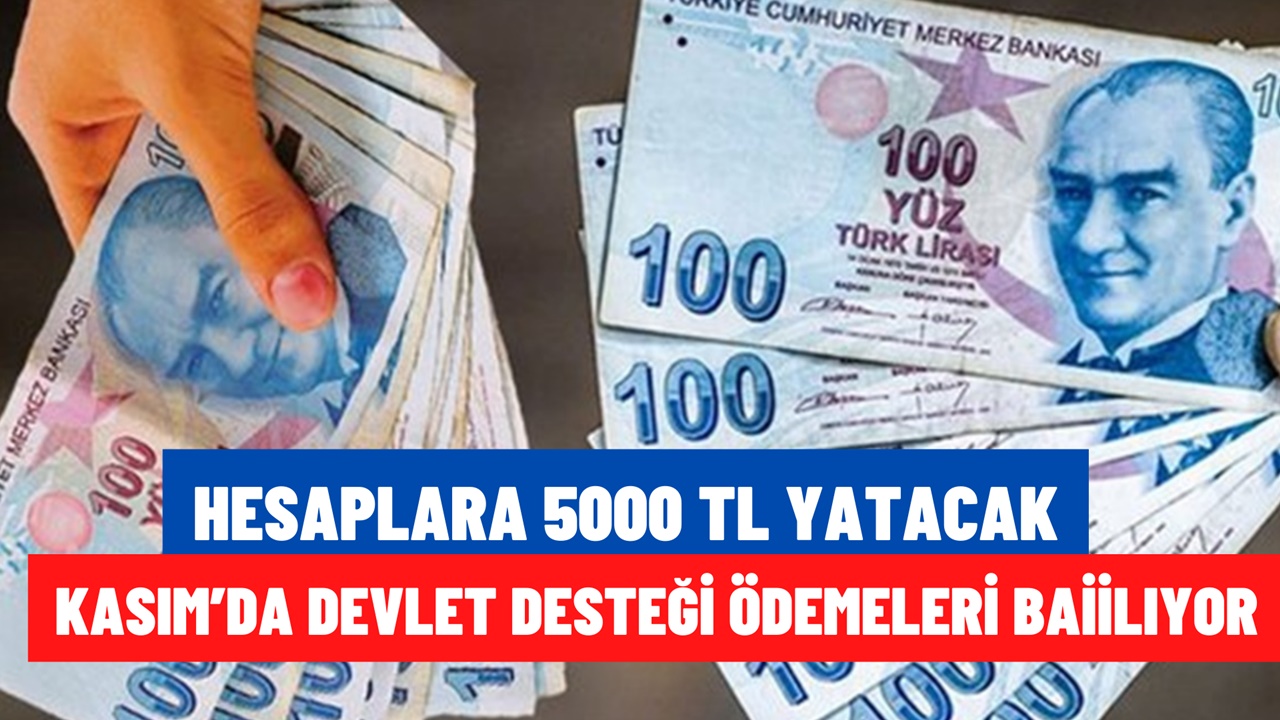 Kasım'da hesaplara 5.000 TL'den fazla ödeme yatacak! Sosyal yardım alanlara büyük müjde geldi