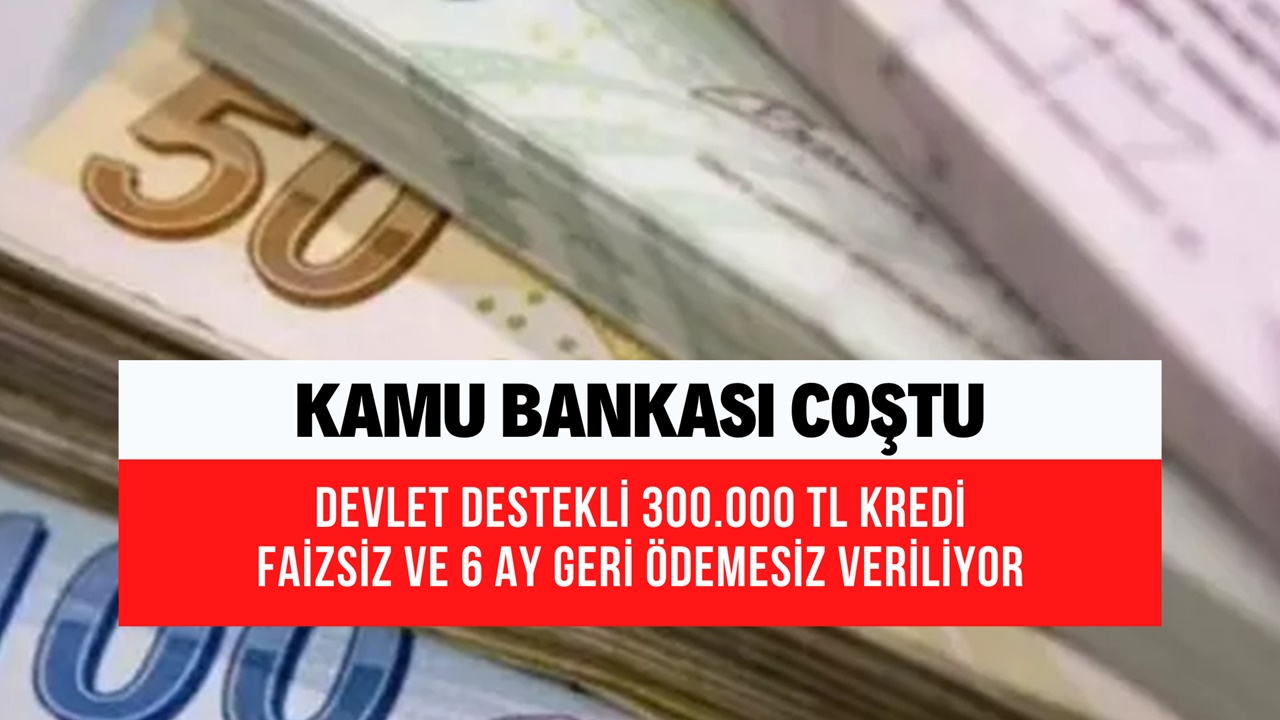 Kamu Bankası Coştukça Coştu! Devlet Destekli 300 Bin TL Faizsiz Kredi, 6 Ay Geri Ödemesiz Trink Yatıyor