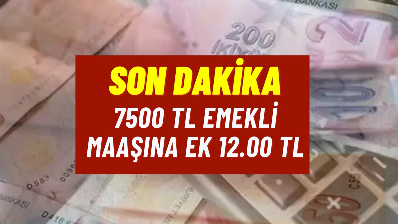 7500 TL maaşa 12.000 TL yılbaşı ikramiyesi! Emekliye Ocak müjdeleri başladı