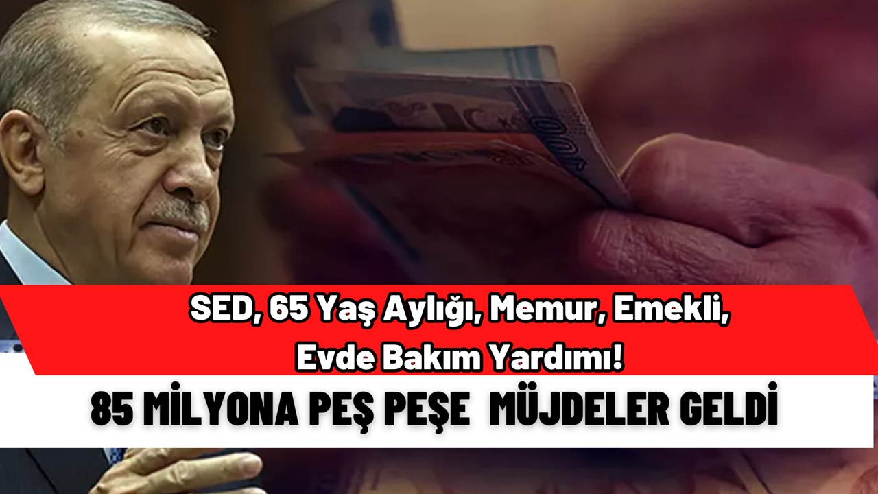 SED, 65 Yaş Aylığı, Memur, Emekli, Evde Bakım Yardımı! Peş Peşe Müjdeler 85 Milyona Açıklandı