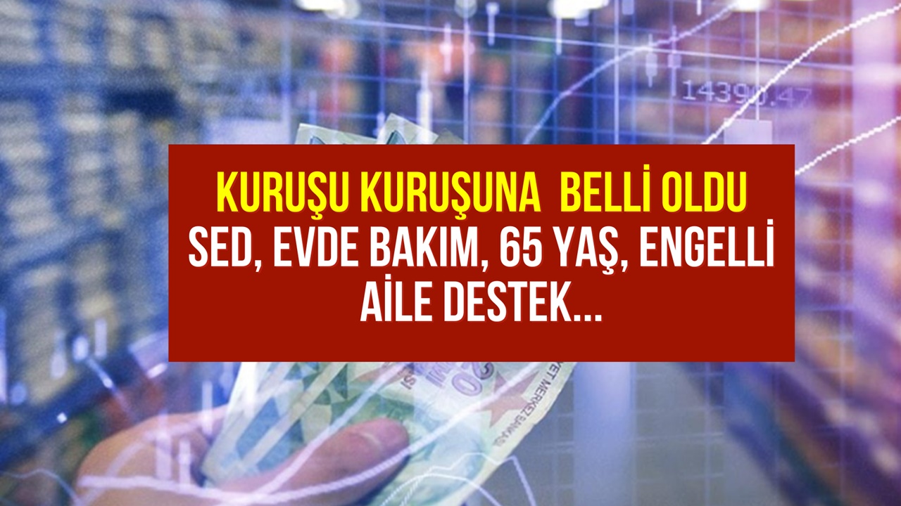 Aile Destek, Evde Bakım, 65 Yaş, SED Ödemesi, Engelli Maaşı 2024 Zammı Kuruşu Kuruşuna Belli Oldu