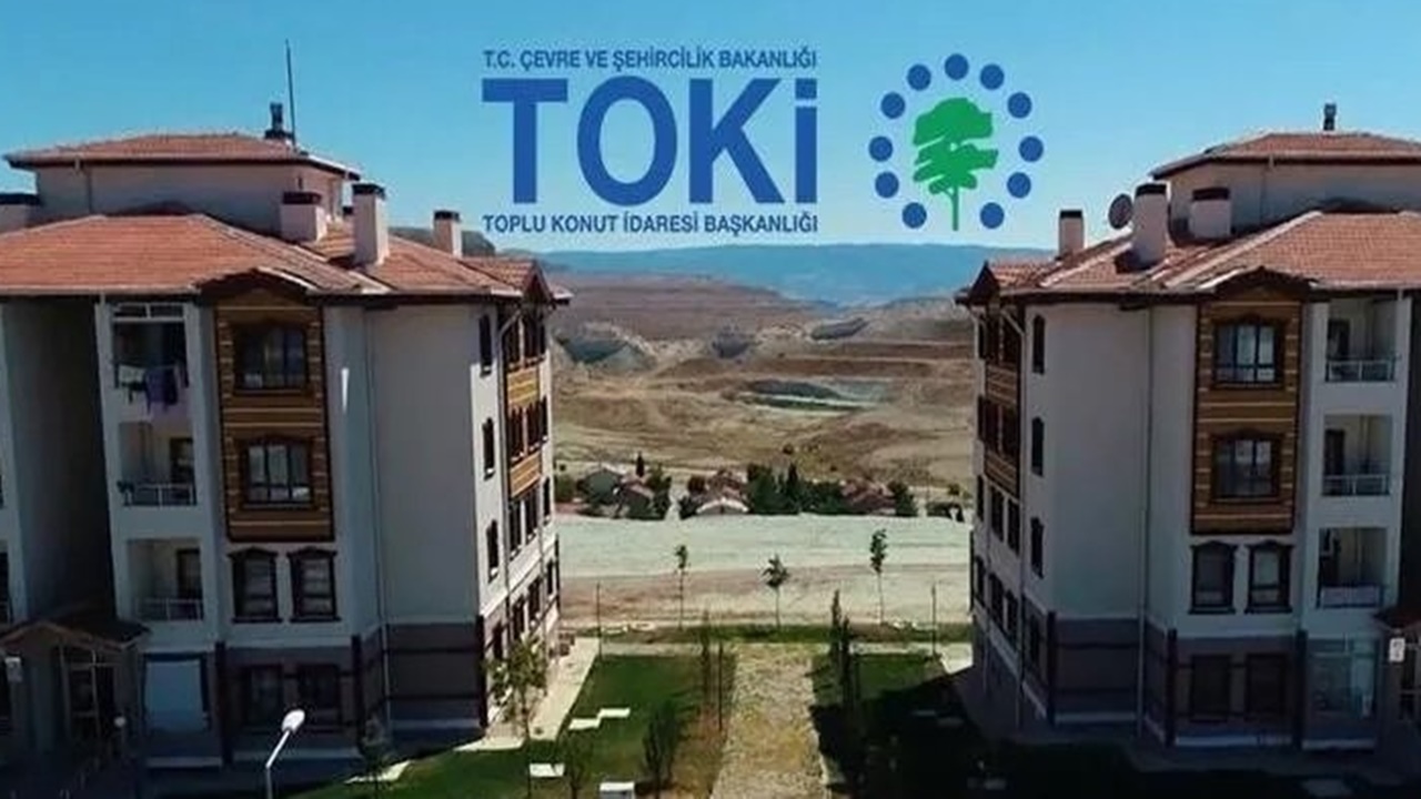 toki-2.jpg