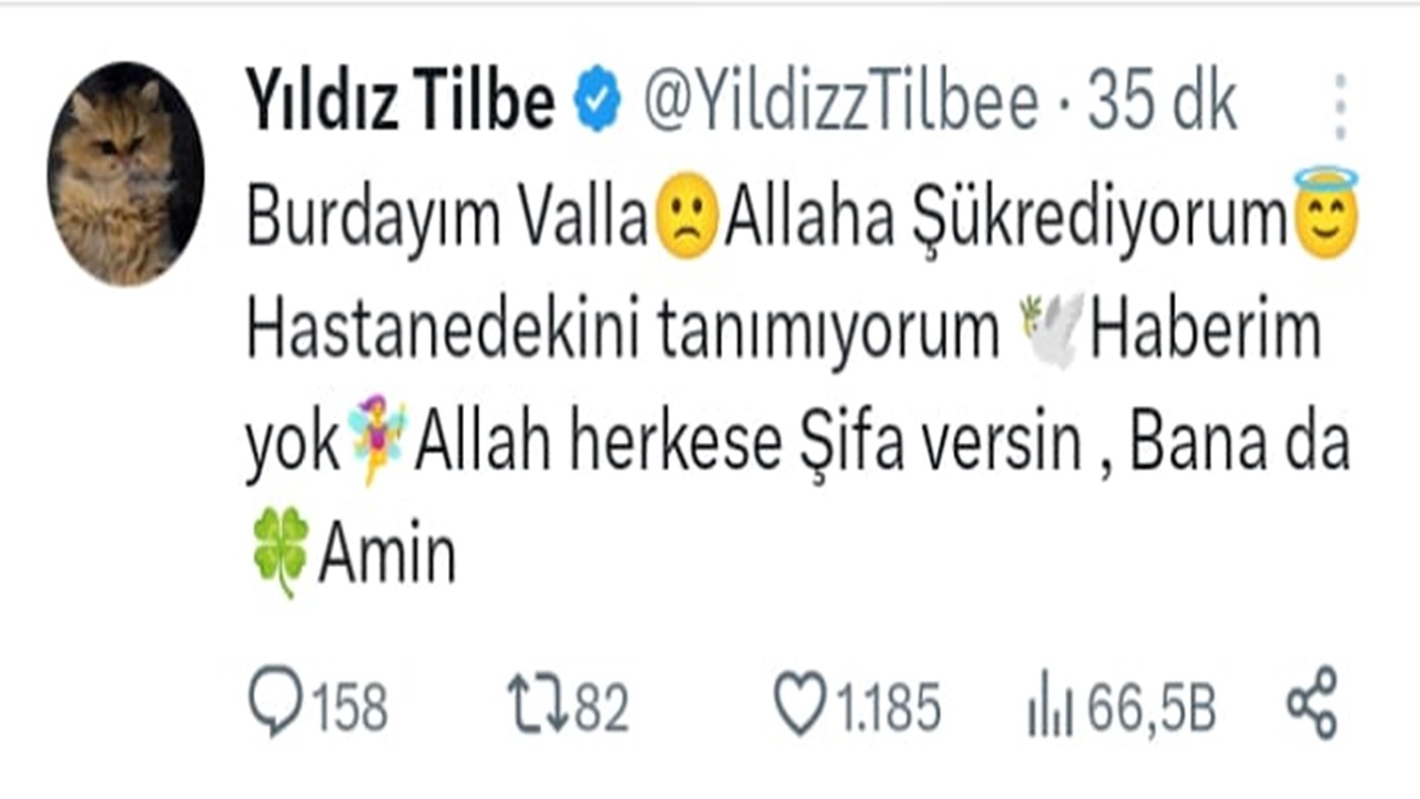 yildiz-tilbe-hastaneye-mi-kaldirildi-yildiz-tilbe-ye-ne-oldu-aciklama-geldi.jpg