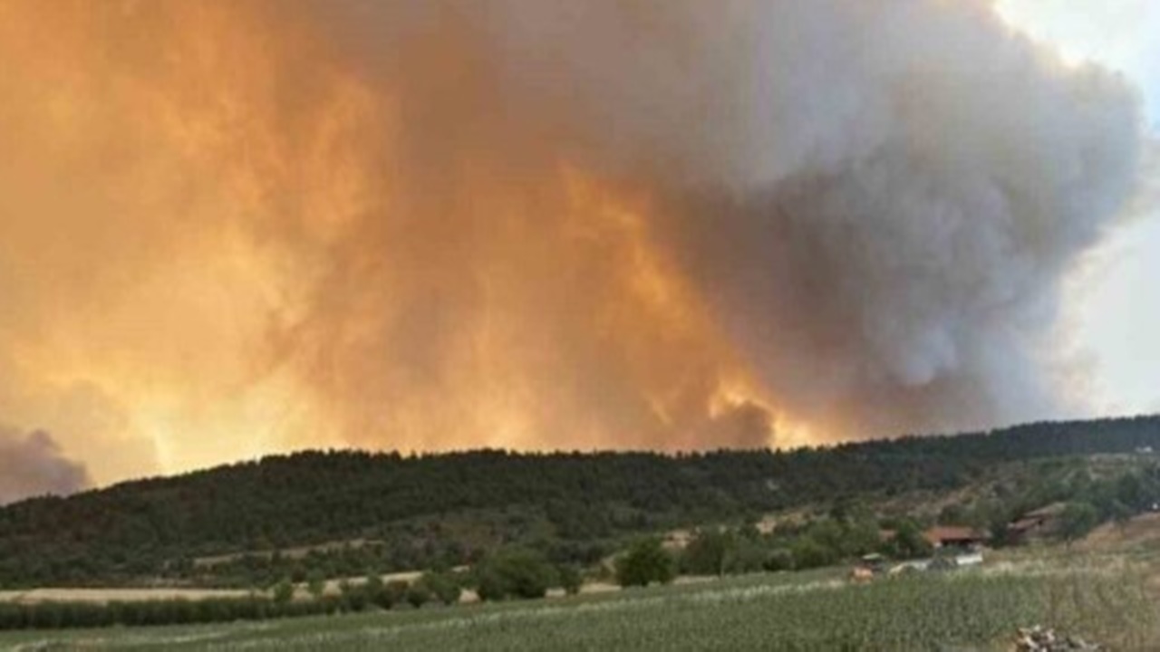 bilecik-orman-yangini-son-durum-bilecikteki-yangin-devam-ediyor-mu.jpg