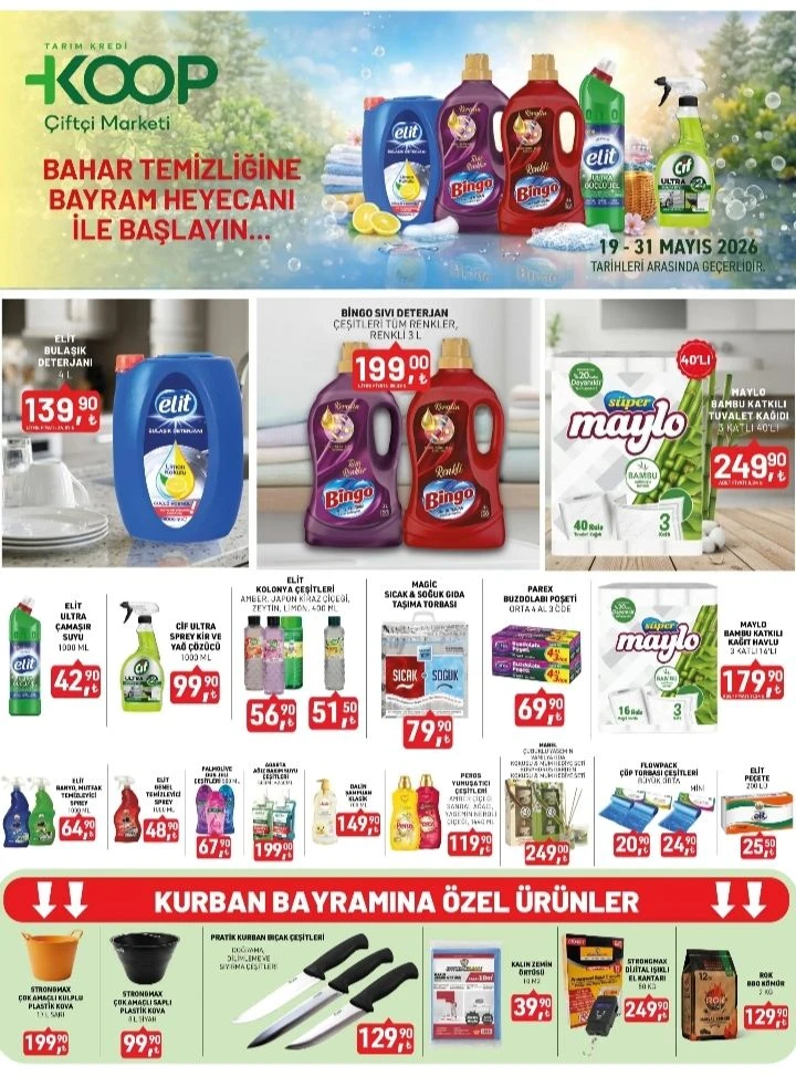 4.webp